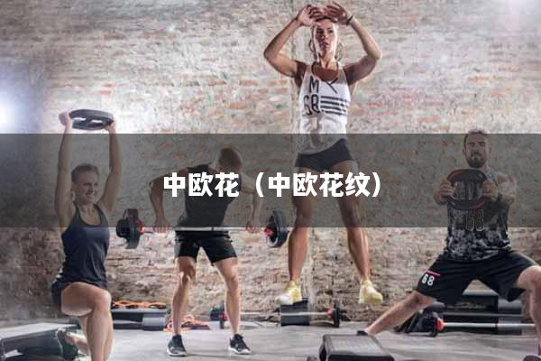 中欧花（中欧花纹）