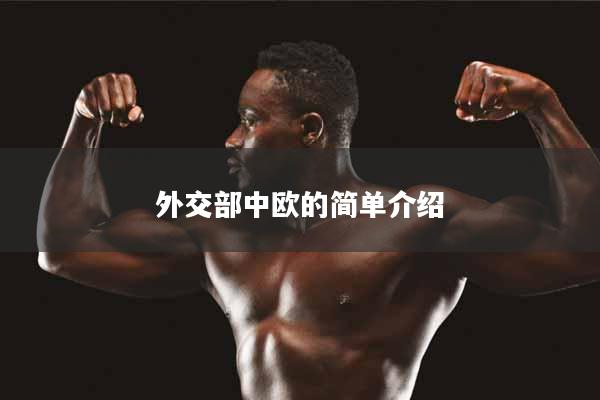 外交部中欧的简单介绍