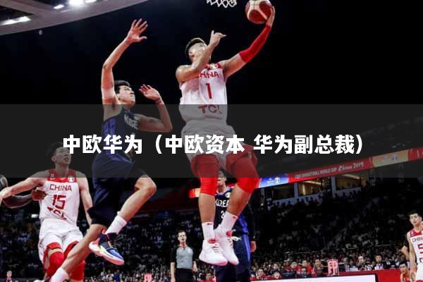 中欧华为（中欧资本 华为副总裁）