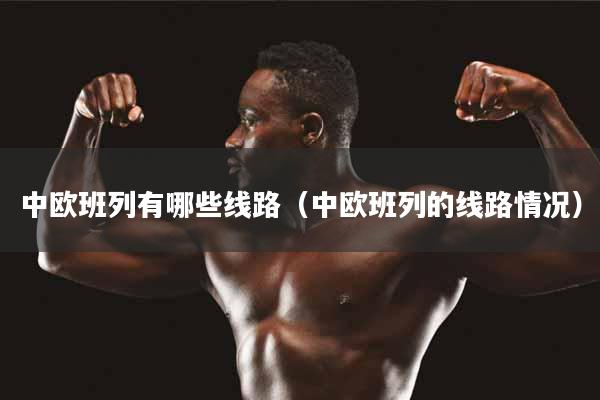 中欧班列有哪些线路（中欧班列的线路情况）