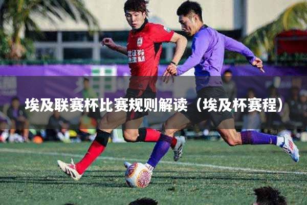 埃及联赛杯比赛规则解读（埃及杯赛程）