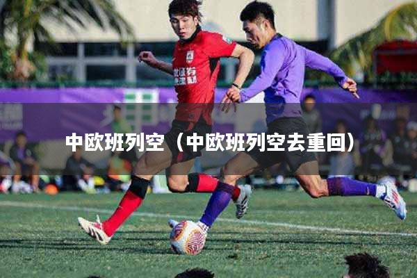 中欧班列空（中欧班列空去重回）