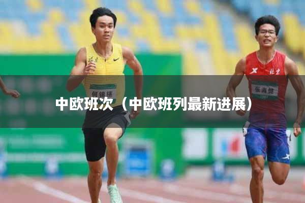 中欧班次(中欧班列最新进展)