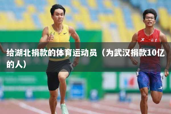 给湖北捐款的体育运动员（为武汉捐款10亿的人）