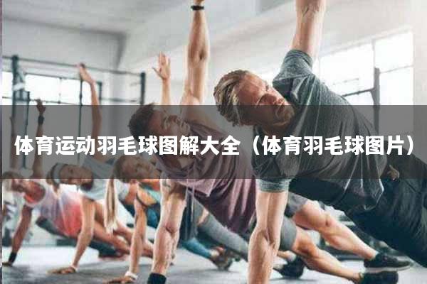 体育运动羽毛球图解大全（体育羽毛球图片）
