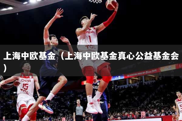 上海中欧基金（上海中欧基金真心公益基金会）