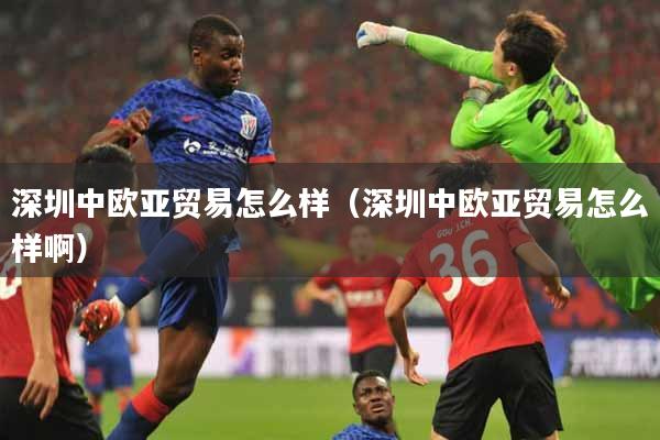 深圳中欧亚贸易怎么样（深圳中欧亚贸易怎么样啊）