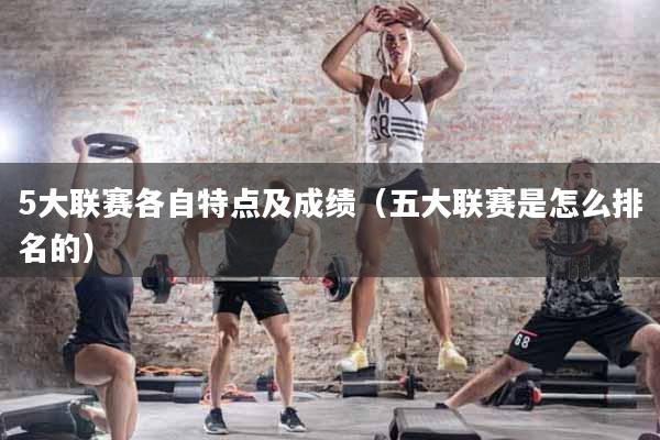 5大联赛各自特点及成绩（五大联赛是怎么排名的）